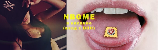 стафф Каменск-Шахтинский