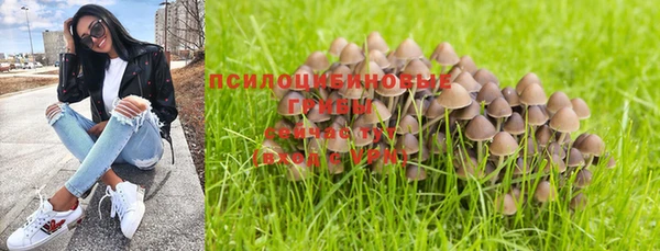 гашиш Каменка