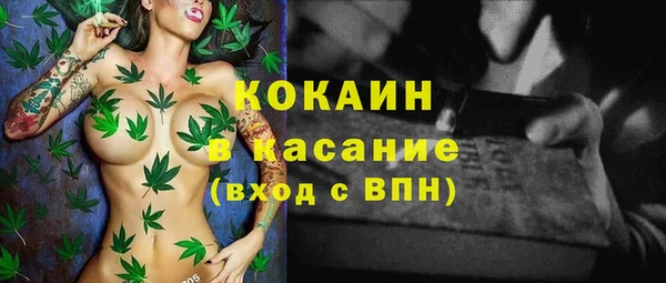mdpv Каменногорск