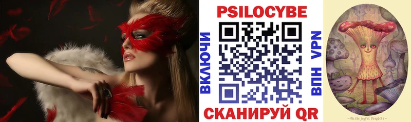 Купить закладки  Пошехонье  Псилоцибиновые грибы мухоморы 